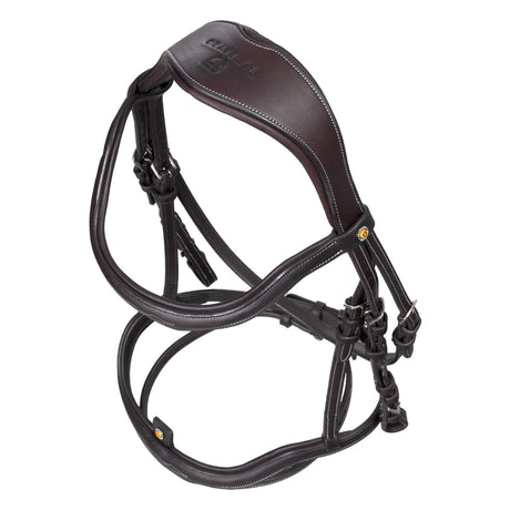Soft leather stitched bridle