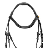 Anatomical bridle with curved noseband