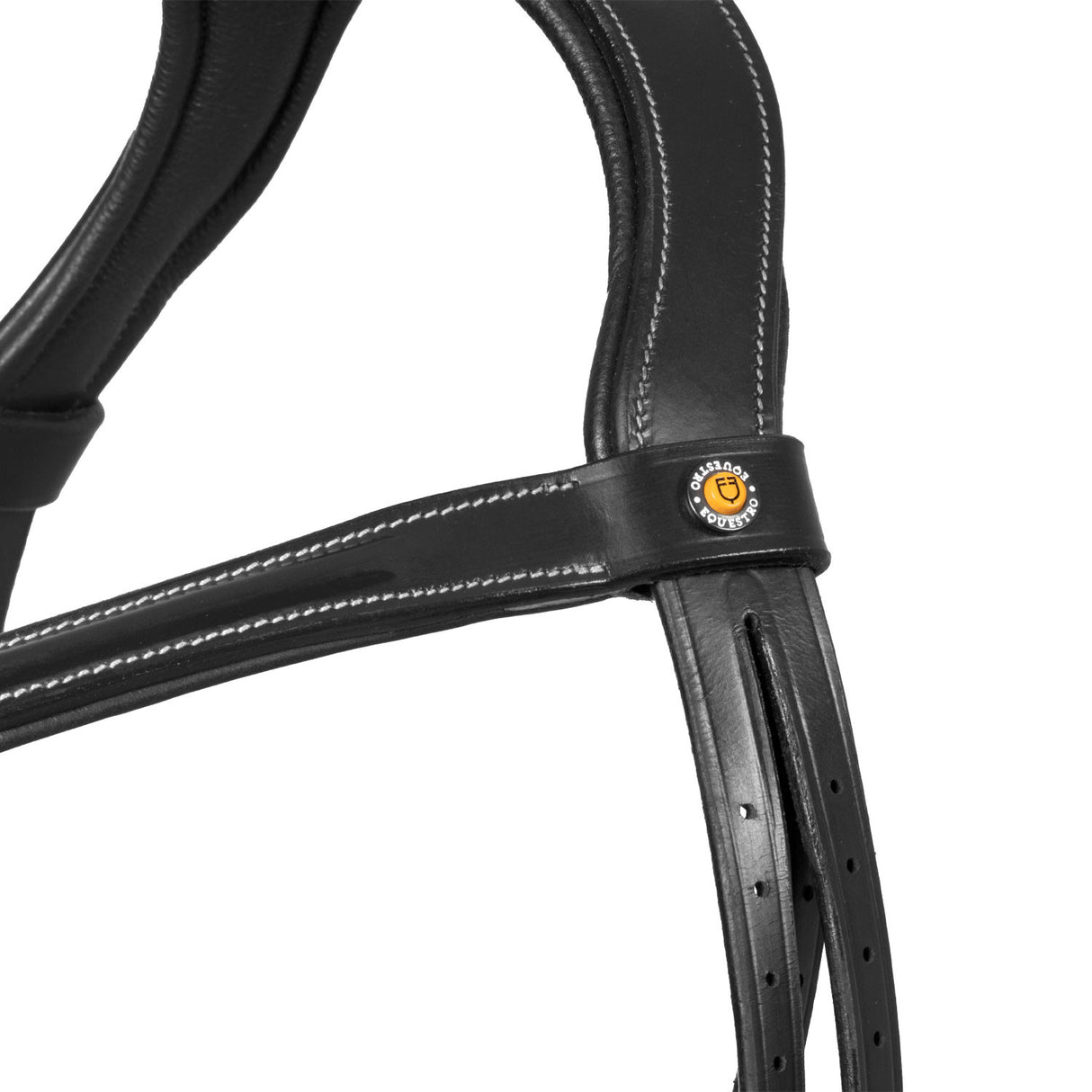 Anatomical bridle with curved noseband