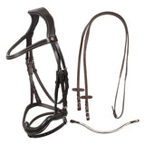 Anatomical bridle with curved noseband