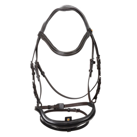 Anatomical bridle with curved noseband