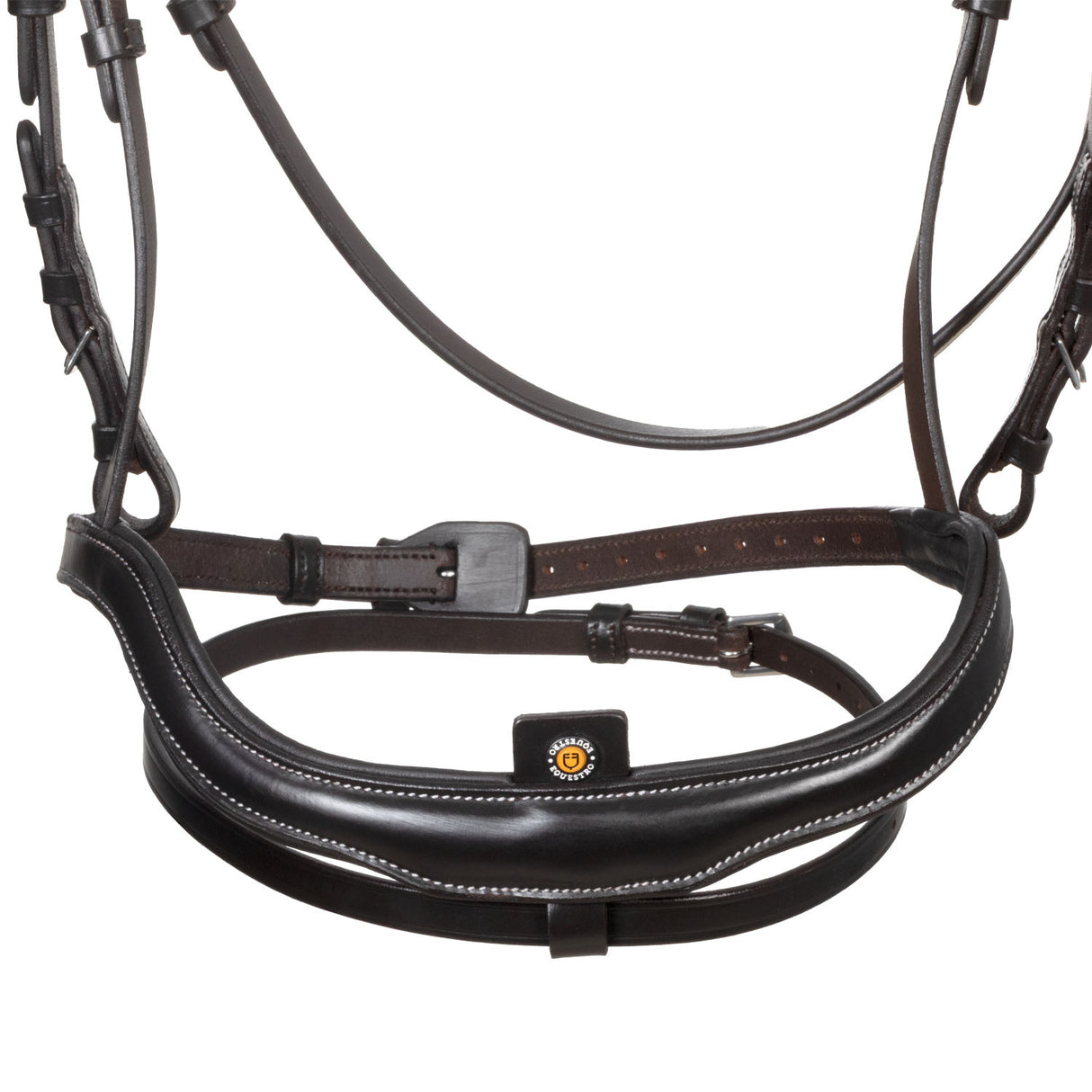 Anatomical bridle with curved noseband