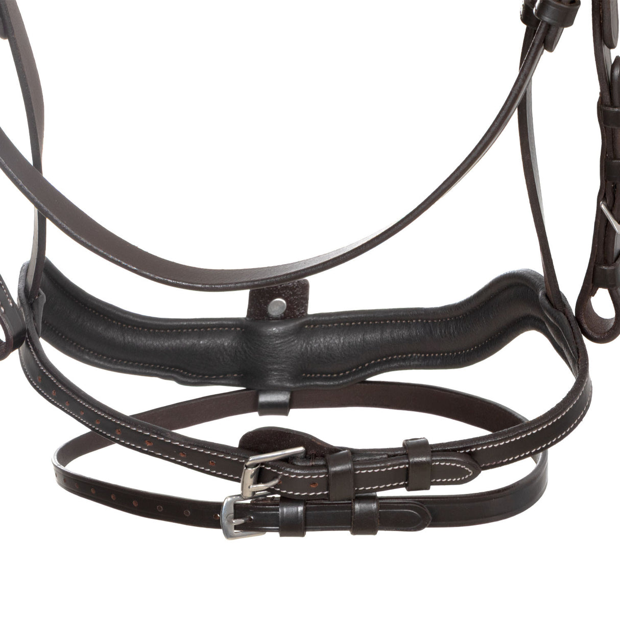 Anatomical bridle with curved noseband