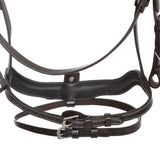 Anatomical bridle with curved noseband