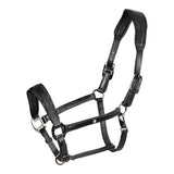 Leather halter with glittery piping