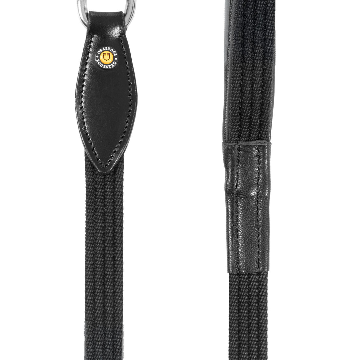 Web dog leash