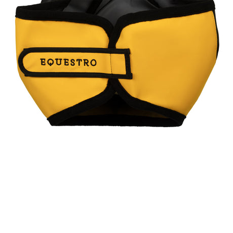 Fly mask with front logo