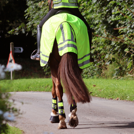 Woof Wear Winter Hi Vis Exercise Sheet #Colour_yellow