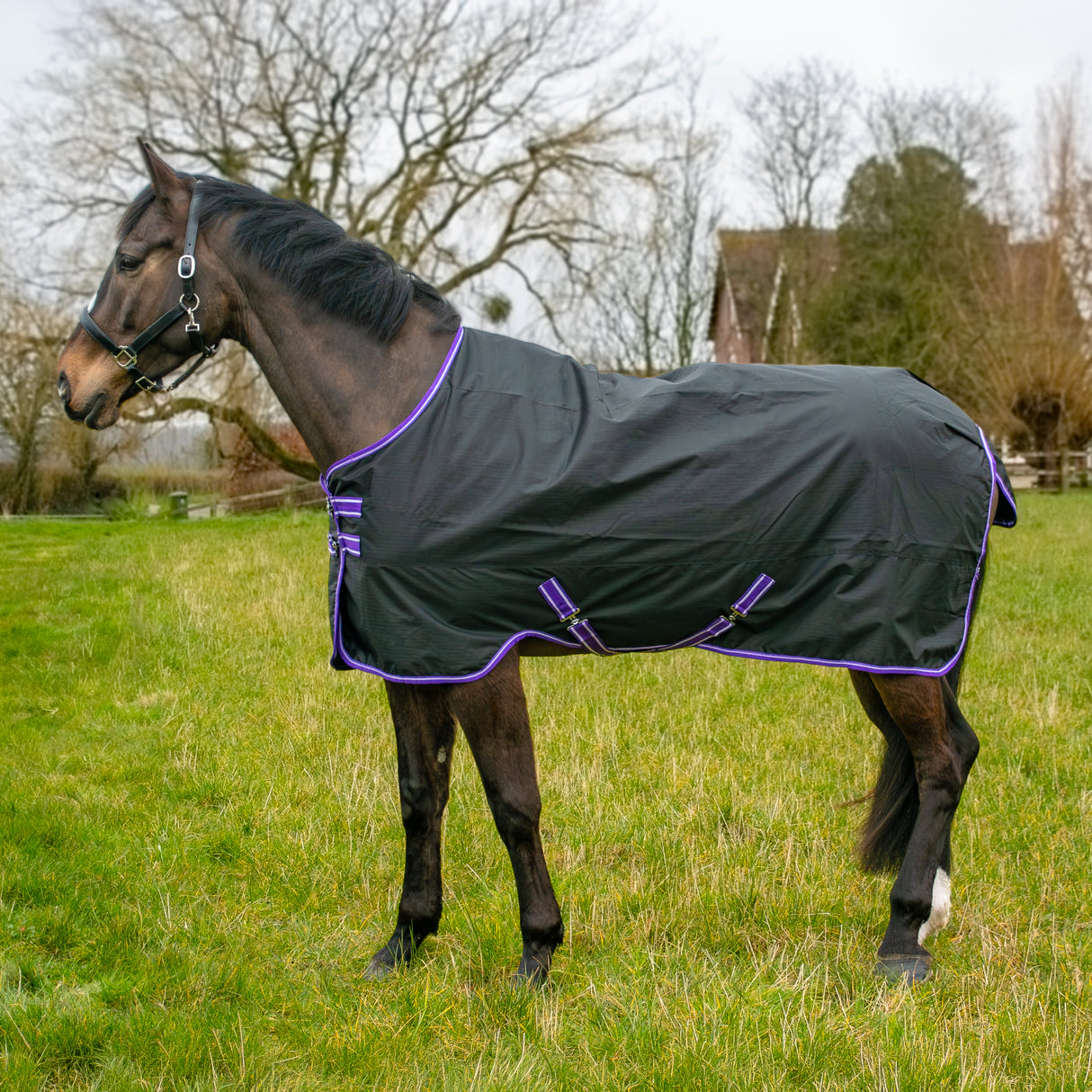 GS Equestrian 600D wasserdichte Weidedecke, 0 g