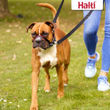 Licol HALTI OptiFit