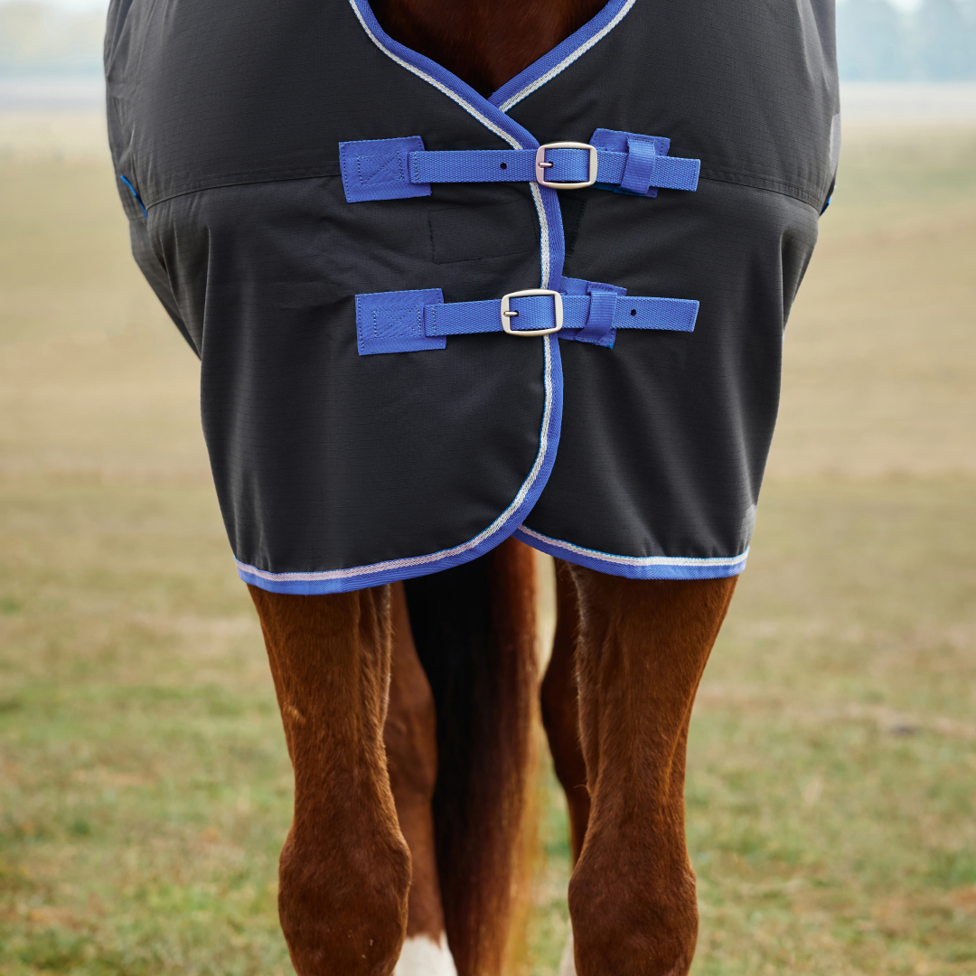 Weatherbeeta Comfitec Tyro 220G Standard Neck Turnout #colour_black-cobalt