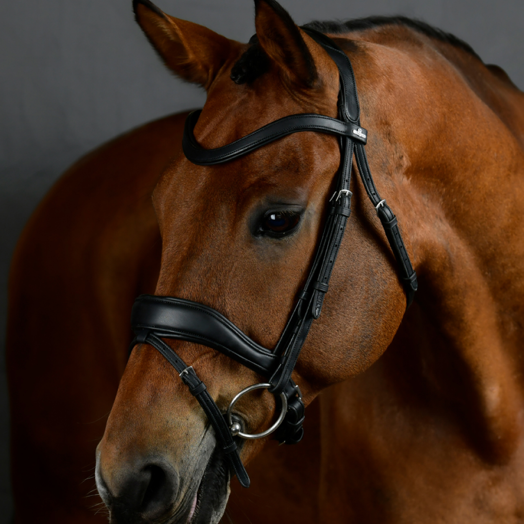 Collegiate Comfitec Opulux Padded Dressage Bridle