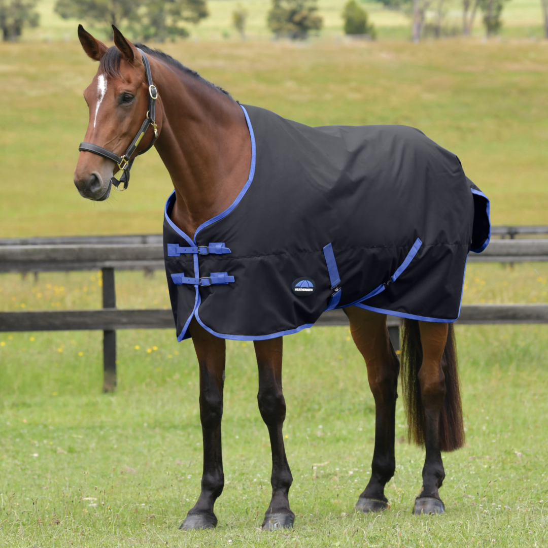 Weatherbeeta Comfitec Tyro 220G Standard Neck Turnout #colour_black-cobalt