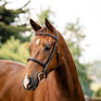 Horseware Ireland Hunter Bridle