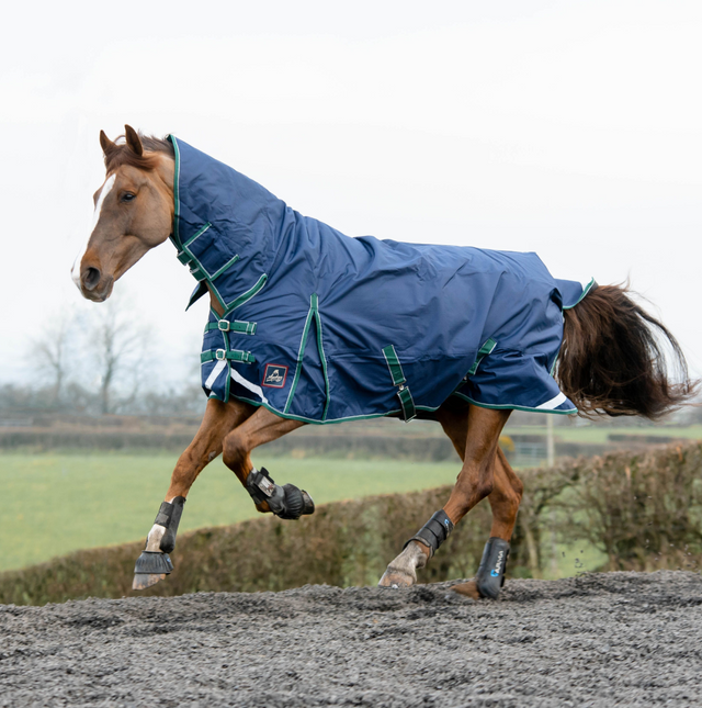 Mackey Keadeen Plus Full Neck 100G Turnout Rug #colour_navy-grey-hunter-green