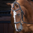 Shires Velociti RAPIDA Rolled Padded Cavesson Bridle #colour_black