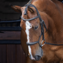 Shires Velociti RAPIDA Rolled Padded Cavesson Bridle #colour_black