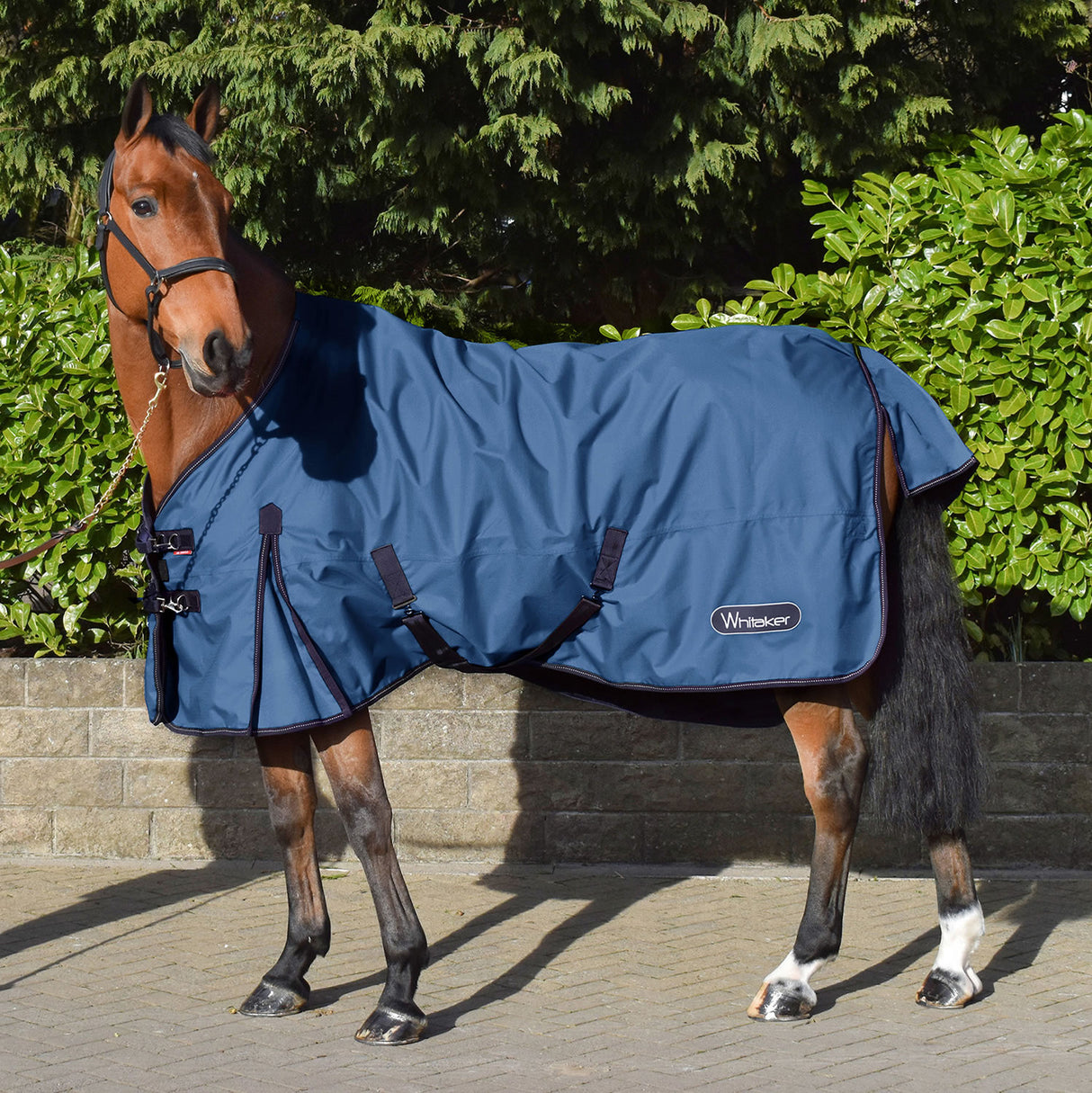 Whitaker Rastrick 0g Turnout Rug #colour_denim-blue