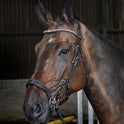 Whitaker Chicago Anatomic Bridle With Reins #colour_black
