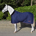 Whitaker Rastrick V2 100g Cosy Rug