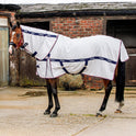 Whitaker Rastrick V2 UV Cool Rug
