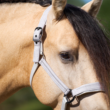 Imperial Riding Sparkle Headcollar #colour_crystal
