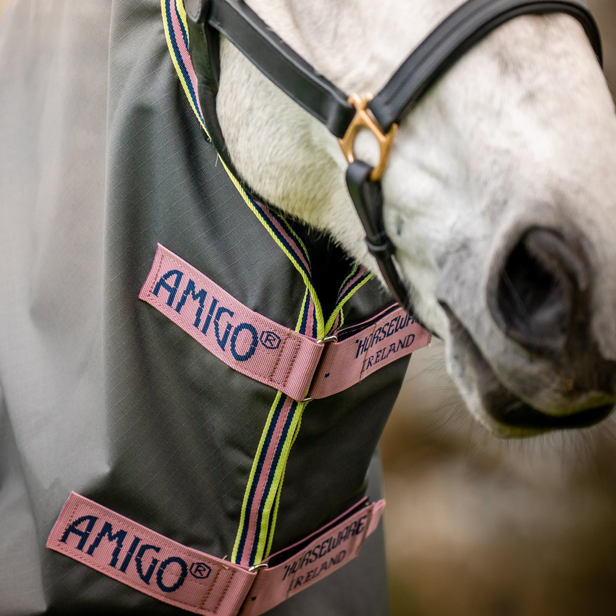 Horseware Ireland Amigo Hero 0g Turnout Rug #colour_shadow-rose-navy