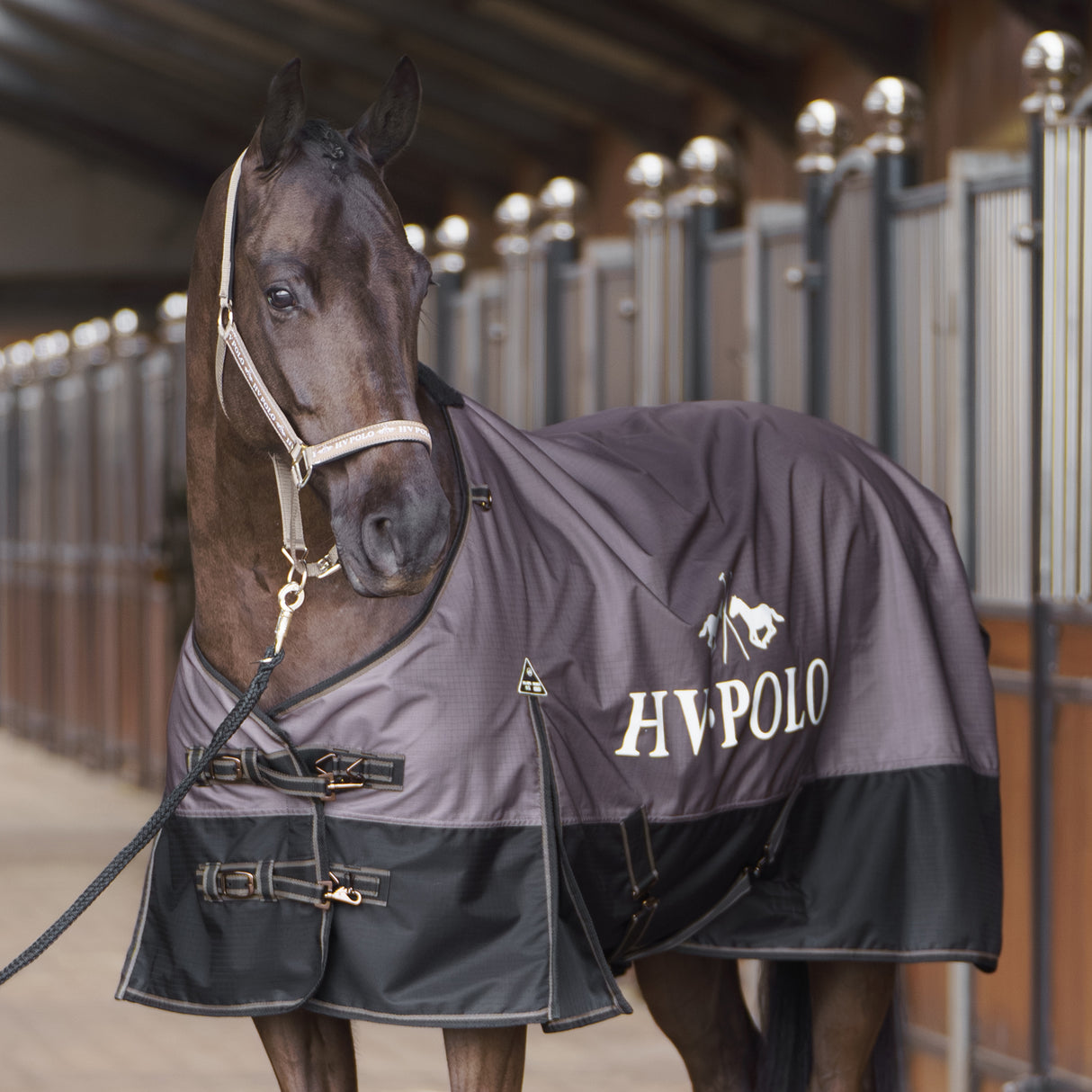 HV Polo Essential 0g Turnout Rug #colour_stone