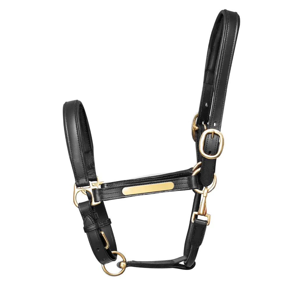 Halsband aus Hy-Leder