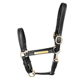 Halsband aus Hy-Leder