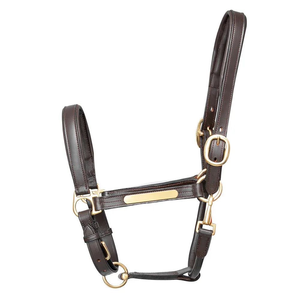 Halsband aus Hy-Leder