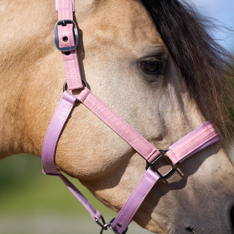 Imperial Riding Sparkle Headcollar #colour_ballerina