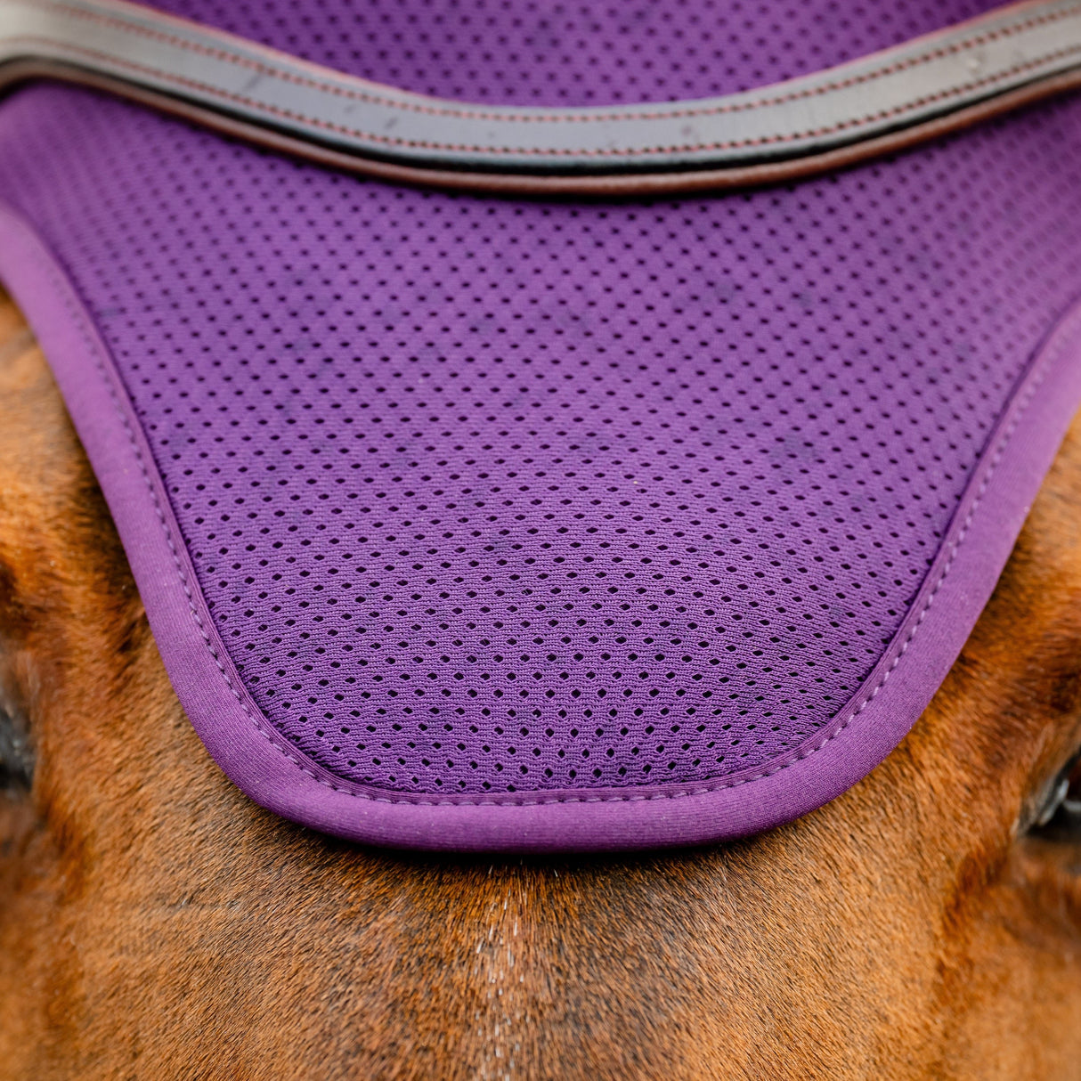 Horseware Ireland Amigo Ear Net #colour_winterberry