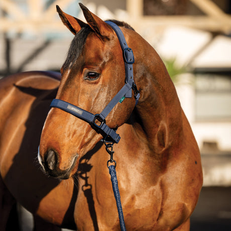 Horseware Ireland Amigo Headcollar & Leadrope Set #colour_navy