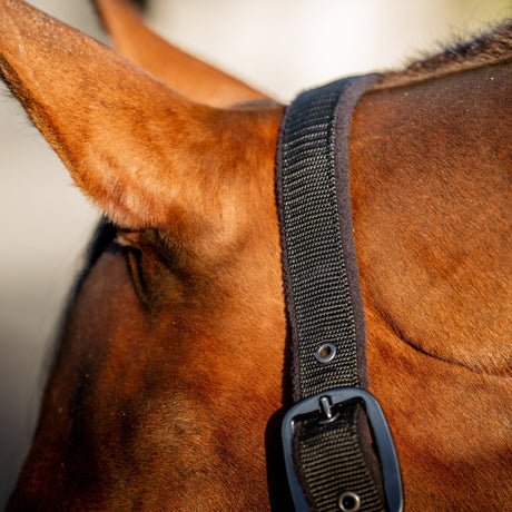 Horseware Ireland Amigo Headcollar & Leadrope Set #colour_black