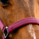 Horseware Ireland Amigo Headcollar & Leadrope Set #colour_mulberry