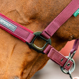 Horseware Ireland Amigo Headcollar & Leadrope Set #colour_mulberry