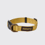 Dubarry Apollo Dog Collar