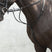 Mackey Equisential Running Martingale #colour_black