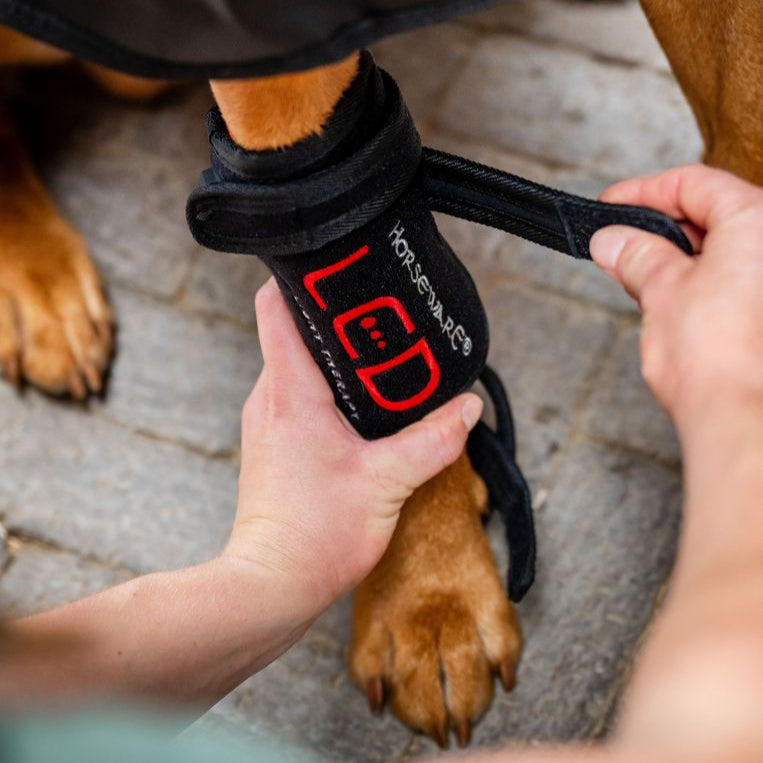 Horseware Ireland LED Red Light Therapy Pet Leg Wrap #colour_black-black