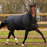 Horseware Trot Plus 350g Turnout Rug