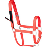 Waldhausen Safety Halter