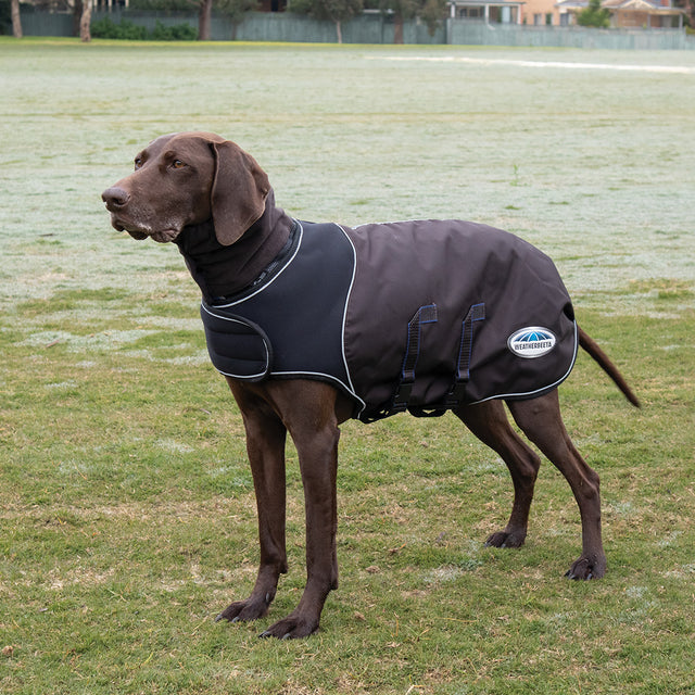 Weatherbeeta Comfitec Ultra Cozi Dog Coat Medium/Lite #colour_charcoal-blue-white