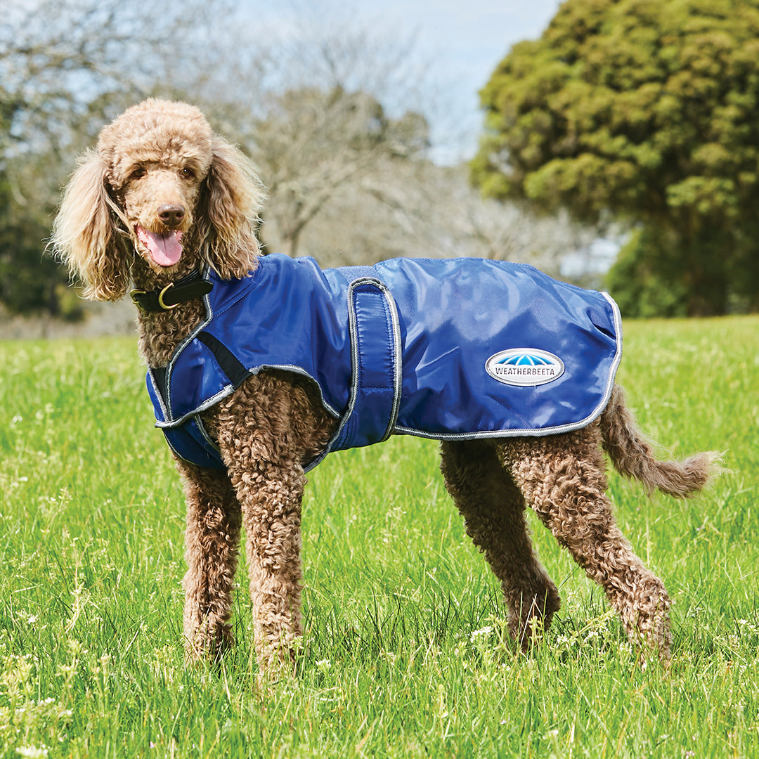 Weatherbeeta Comfitec Windbreaker Free Parka Deluxe Dog Coat #colour_dark-blue-grey-white