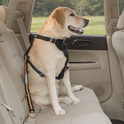 Kurgo Direct To Seatbelt Tether #colour_black-orange