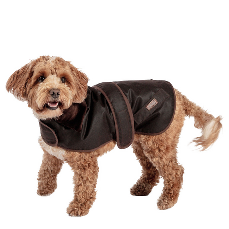 Danish Design Fatface Sussex Dog Coat #colour_chocolate