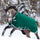 Horseware Ireland Rambo Original 400g Turnout Rug with Leg Arches #colour_green-silver