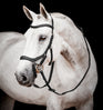 Horseware Ireland Micklem 2 Competition Bridle #colour_black