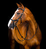 Horseware Ireland Micklem 2 Deluxe Competition Bridle With Reins #colour_black