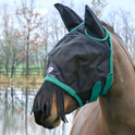 #colour_black-teal